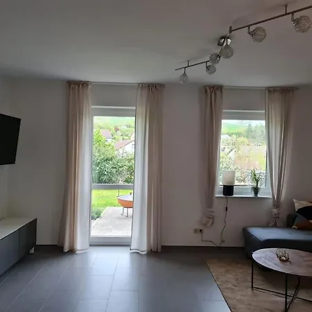 Panoramablick 巴特梅根特海姆